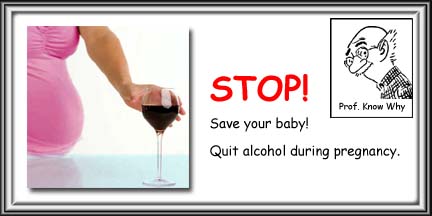 [Drinking+risks+pregnancy.jpg]