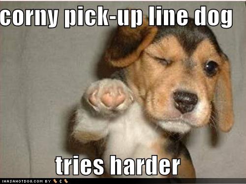 [cute-puppy-pictures-corny-pickup-line.jpg]