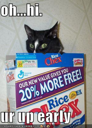 [funny-pictures-cat-caught-in-cereal-box.jpg]