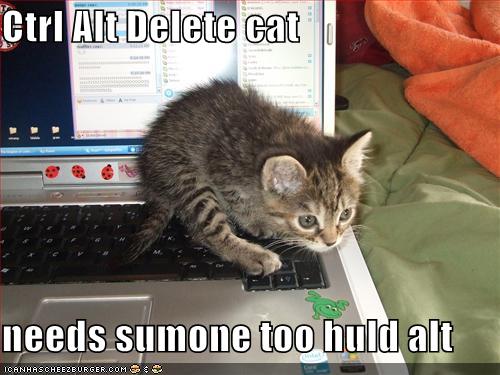 [funny-pictures-ctrl-alt-del-kitten.jpg]