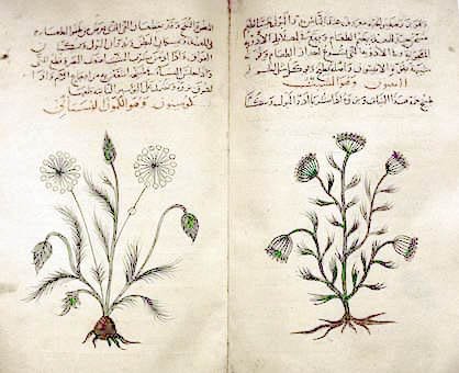 [Arabic_herbal_medicine_guidebook.jpeg]