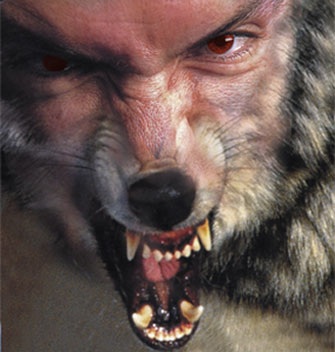 [manwolf1ck1.jpg]