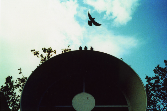 [Eut_20071008_pompidou_aeration_pigeons.jpg]