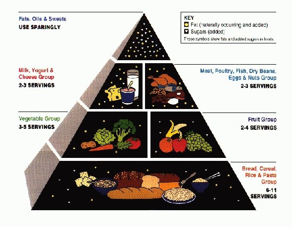 [Food Pyramid.jpg]