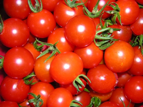 [Tomates-1.jpg]