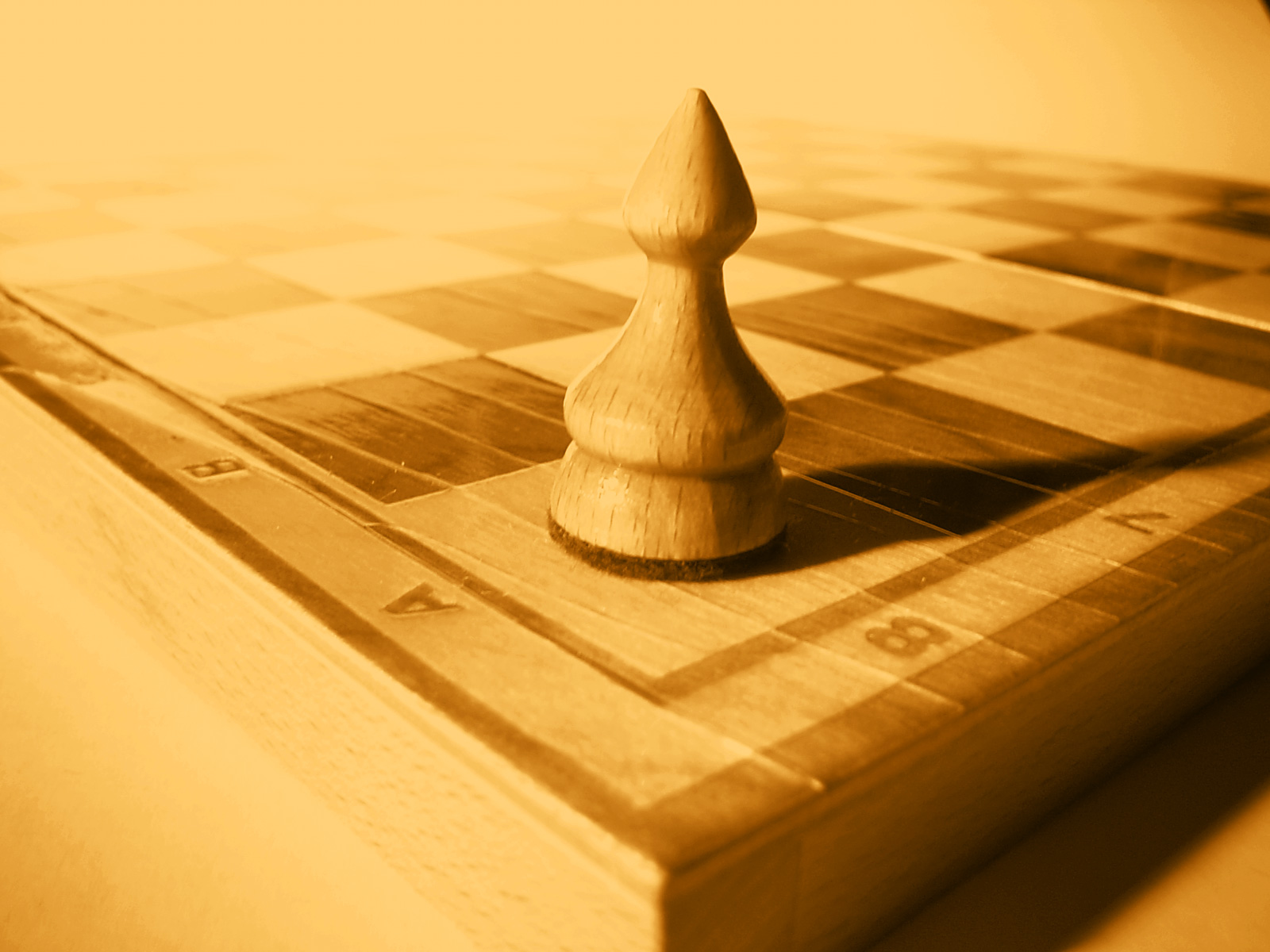 [Chess+Pawn.jpg]