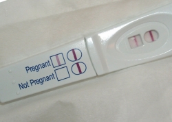 [pregnancy+kit.jpg]