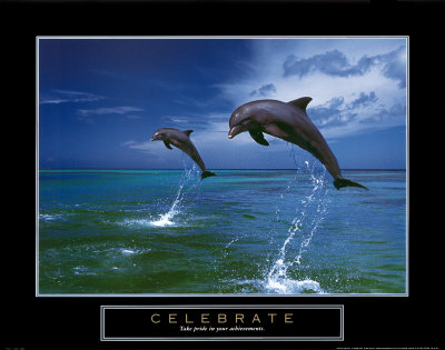 [F102362~Celebrate-Dolphins-Posters.jpg]
