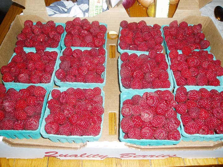 [Flat+of+Raspberries.JPG]