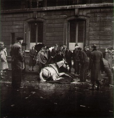 [The+fallen+horse,+Paris,+1942,+by+Robert+Doisneau.jpg]