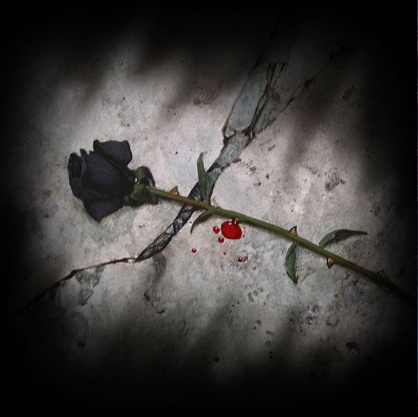 [black+rose+blood.jpg]