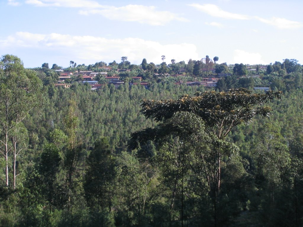 [Rwanda+018b+-+Mukoni.jpg]