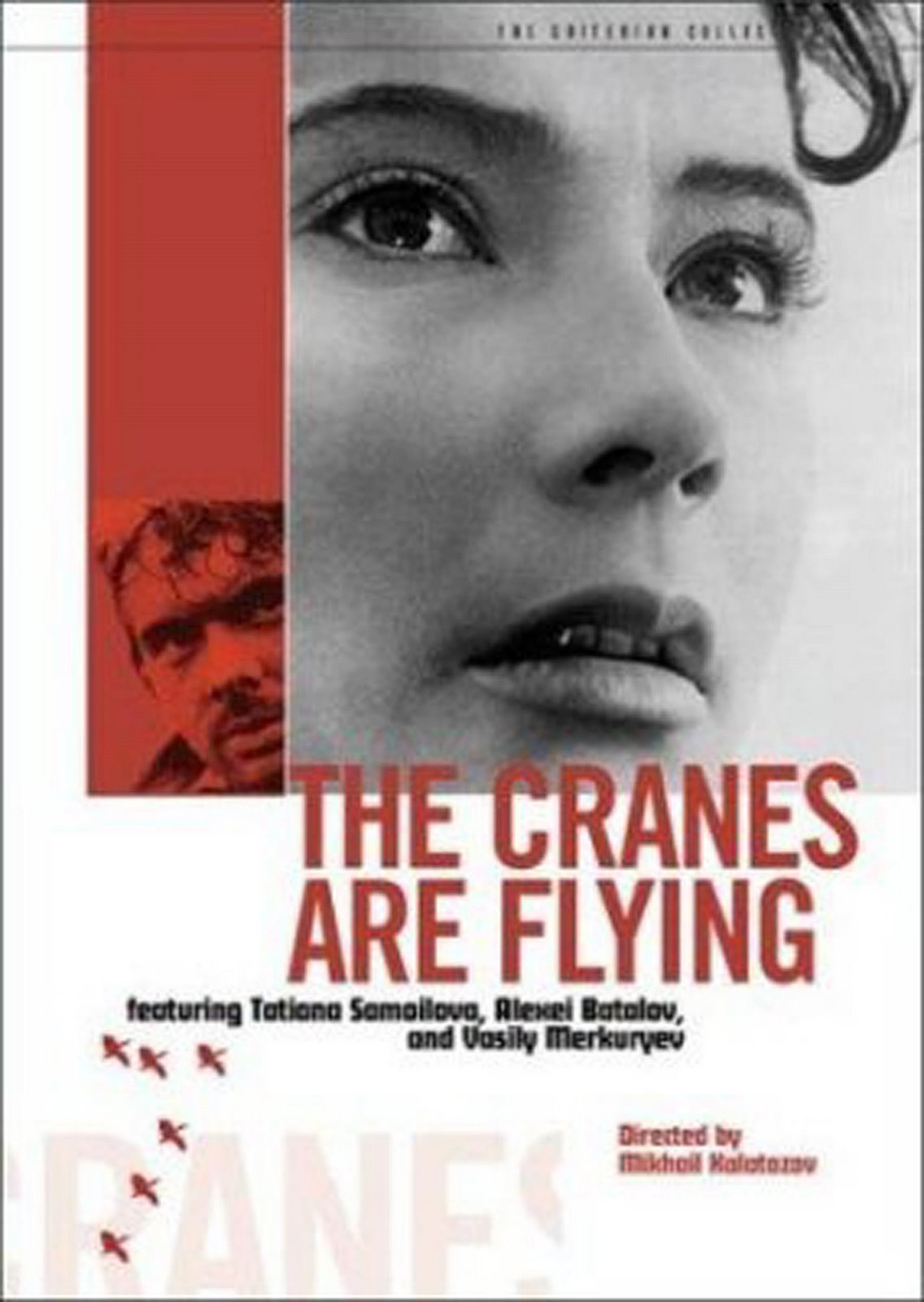 [5.++Cranes+are+flying.jpg]
