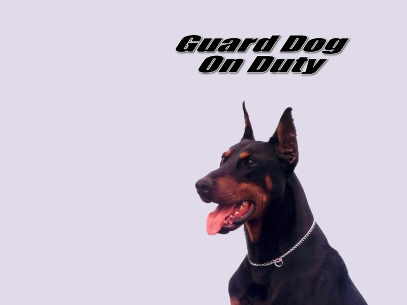 [guard-dog-high-quality-dogs-desktops.jpg]