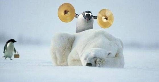 [Polar+bear+penguin.bmp]
