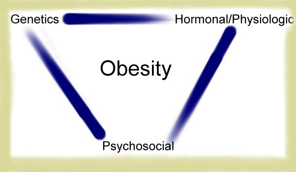 [causes-obesity.jpg]