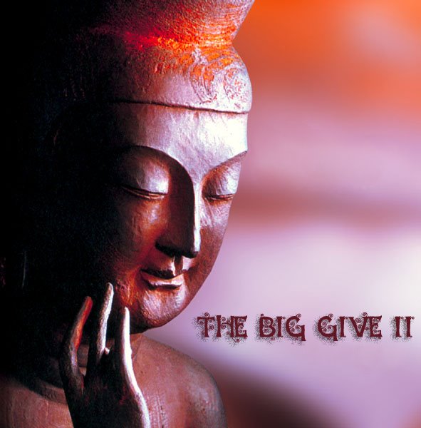 [The+Big+Give+II.jpg]