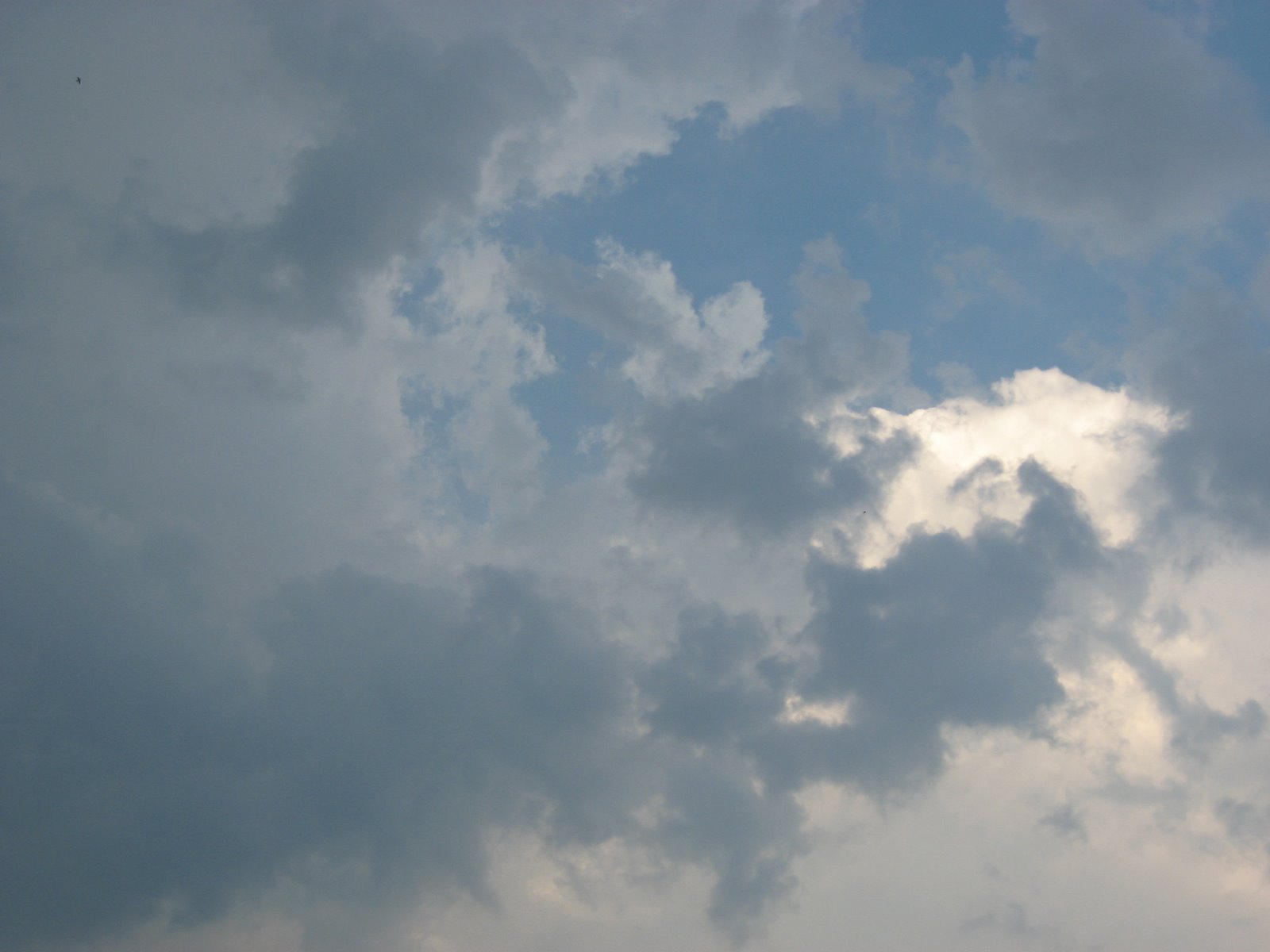 [Clouds2007.JPG]