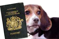 [pet-passport.jpg]