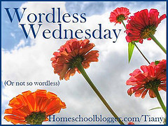 [Wordless+Wednesday.jpg]