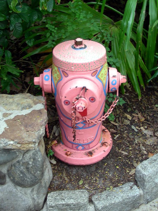 [fire-hydrant.jpg]