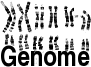 [genome.gif]