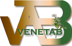 [Logo+Venetab+godoy.png]