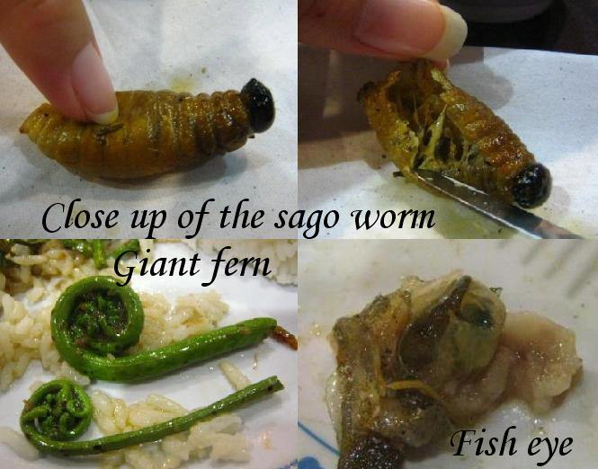 [Sago+Worm+Close+Up.JPG]