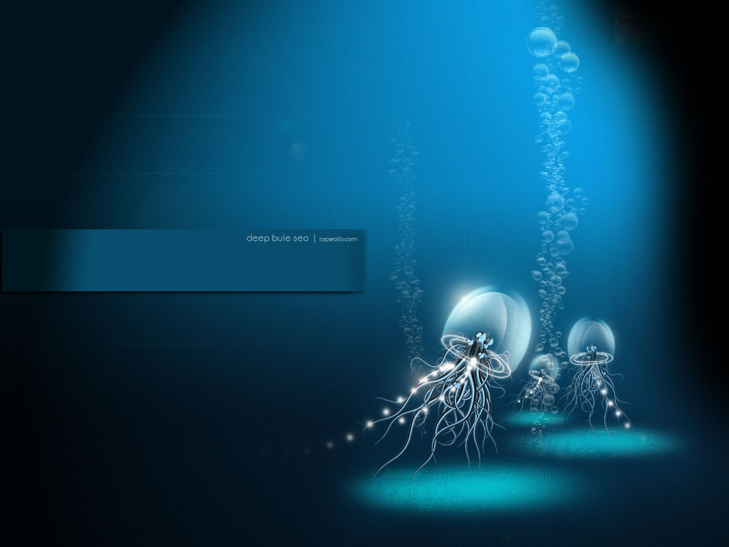 [Blue+JellyFish.jpg]