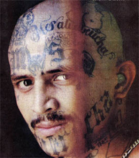 ms 13 tattoo street gang tattoo images