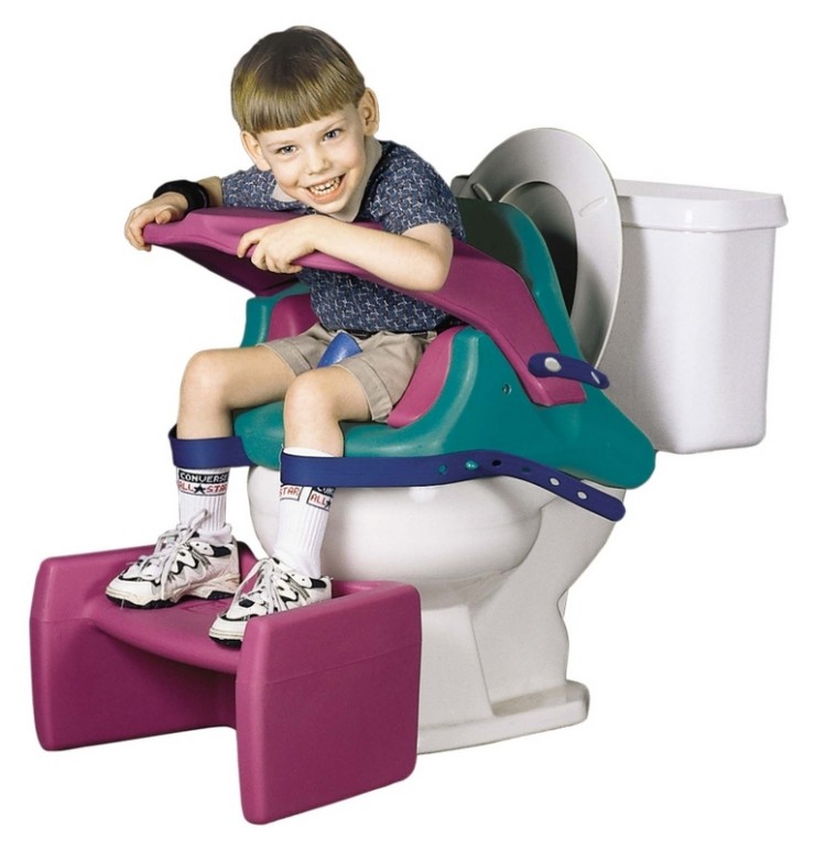 [toilet-safety-seat.jpg]