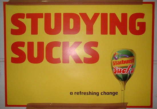 [studying-sucks-sign.jpg]