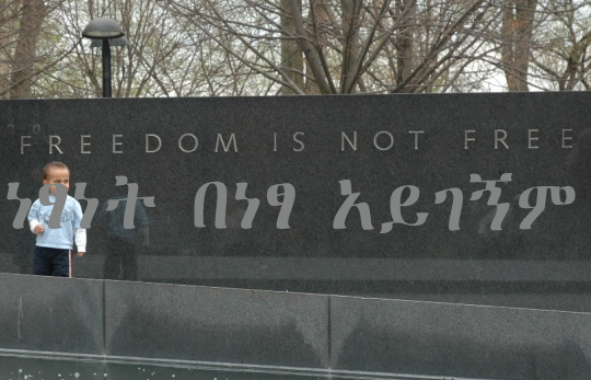 [freedom_is_not_free.PNG]
