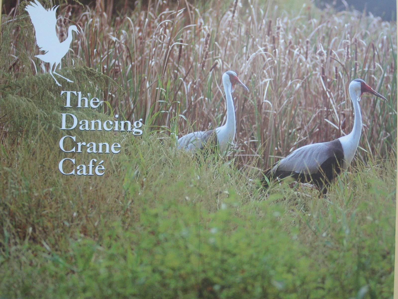 [cranes.JPG]