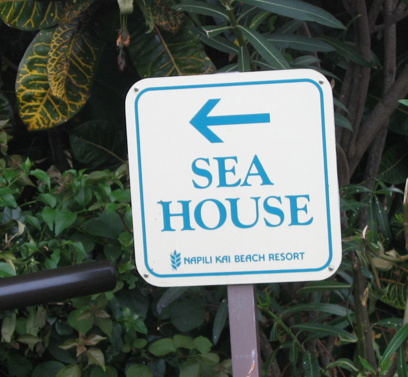 [Sea+House.jpg]