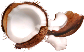 [coconut.png]