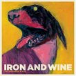 [iron+wine+the+shepards+dog.jpg]