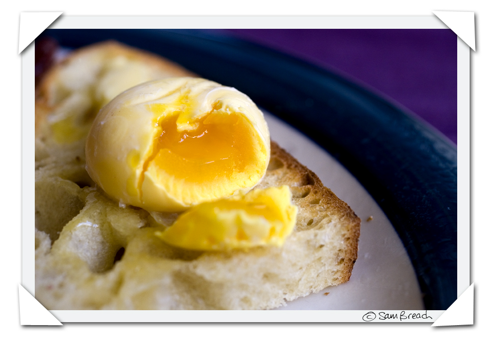 [poached+egg+yolk+by+sam+breach.jpg]
