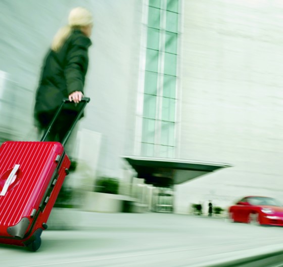 [travel_luggage_front_2.jpg]