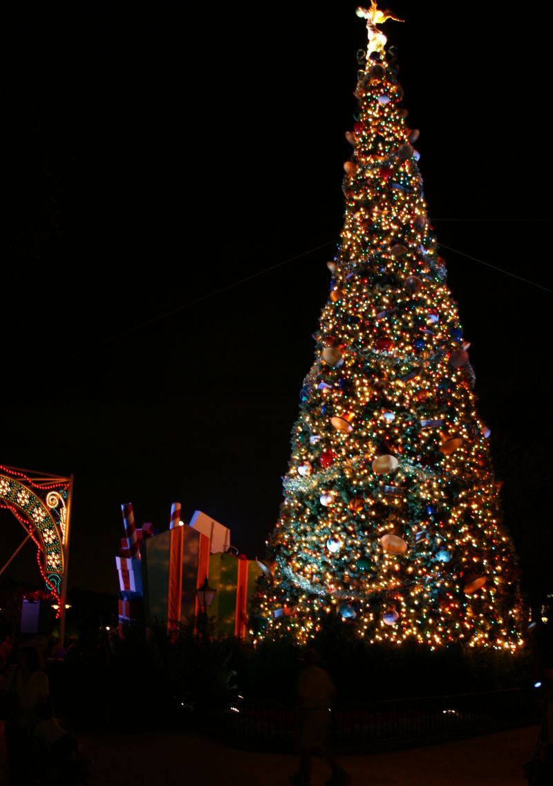 [15+EPCOT+Christmas+Tree+1.jpg]