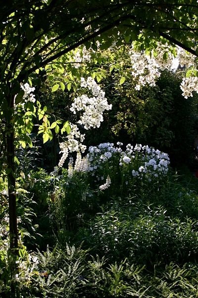 [400px-Sissinghurst_white_garden.jpg]