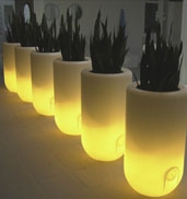 [pill+lighted+flower+by+Rob+Slewe+at+Bloom!.jpg]