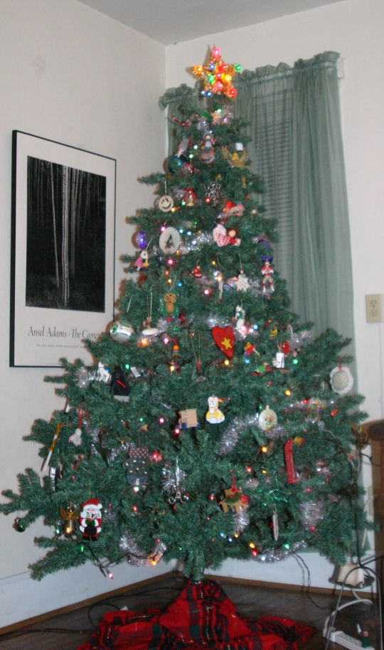[Christmas+Tree+07.jpg]