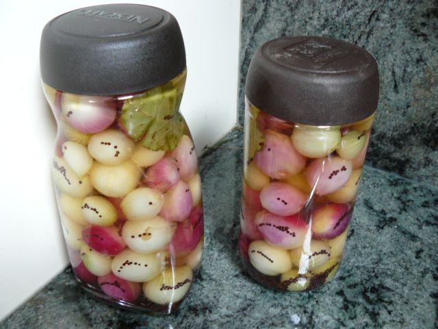 [onions+in+jar.jpg]