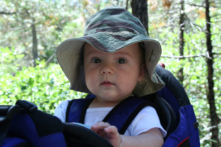 Owen's 2nd hike @ Limpy Creek...He really likes to look around at all the greenery...:)