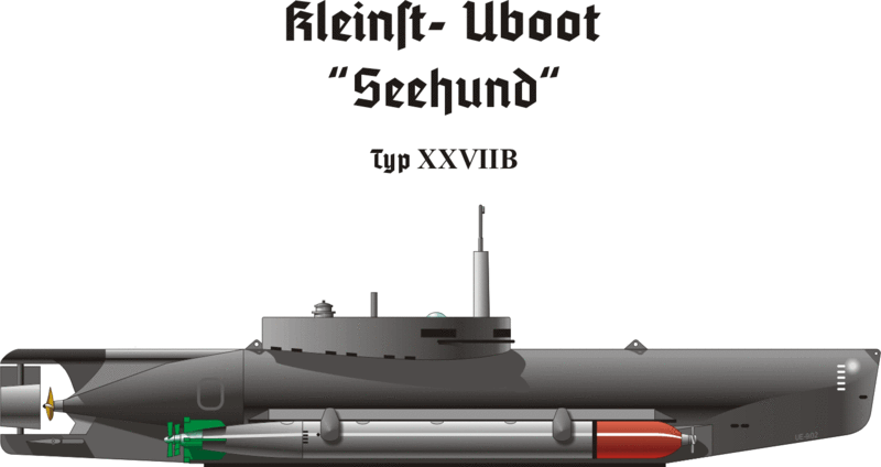 [800px-Kleinstuboot_Seehund.gif]