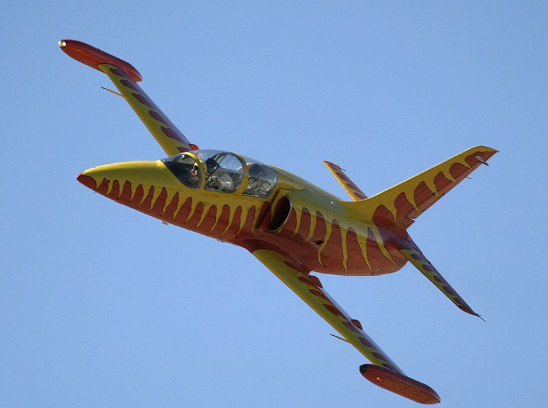 [Airshowfan-dot-com--by-Bernardo-Malfitano--Image-of-L39-at-Santa-Rosa-airshow.jpg]