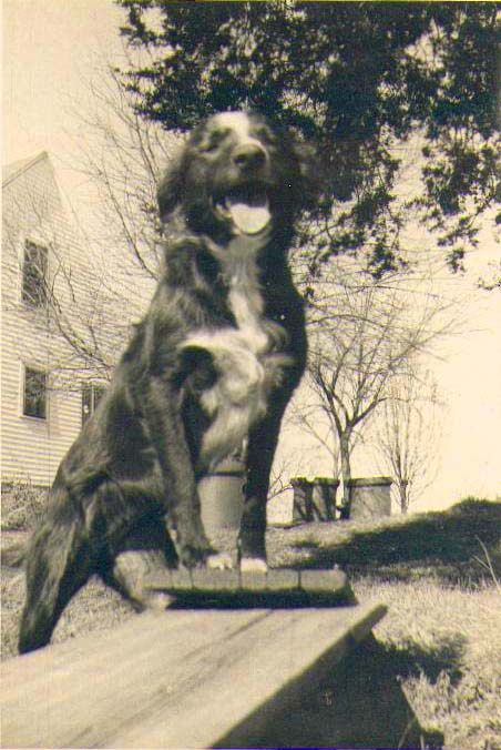 [n+word+the+dog+1947.jpg]