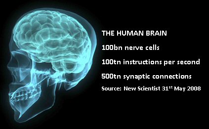 [human+brain+and+its+capabilities.jpg]
