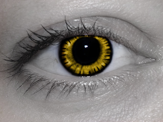 [ojo-amarillo.jpg]